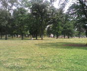 画像の説明 画像の説明