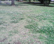 画像の説明 画像の説明