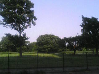 画像の説明 画像の説明