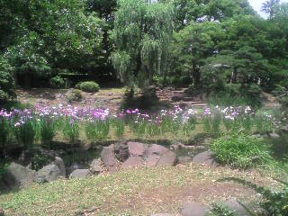 画像の説明 画像の説明