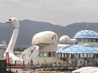 画像の説明 画像の説明