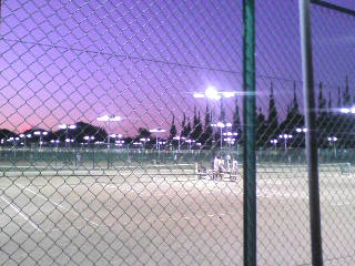 画像の説明 画像の説明