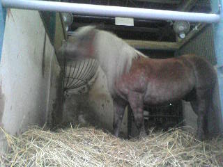 ����������