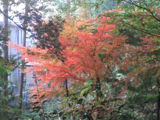 画像の説明 画像の説明