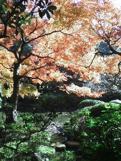 画像の説明 画像の説明