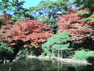 画像の説明 画像の説明