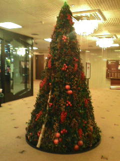 画像の説明 画像の説明