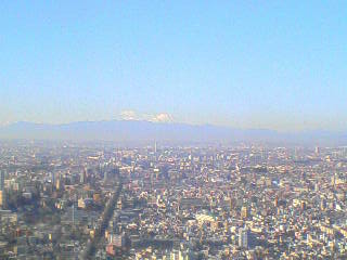 画像の説明 画像の説明