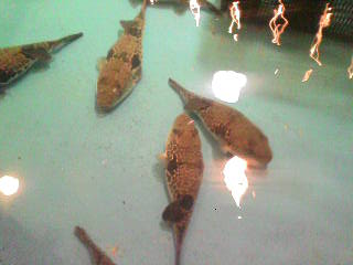 ����������