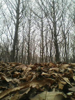 画像の説明 画像の説明