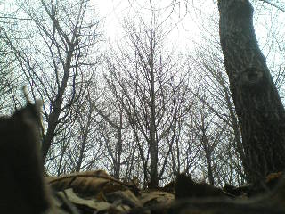 画像の説明 画像の説明