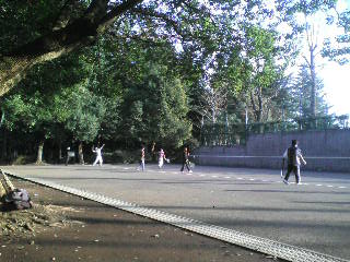 画像の説明 画像の説明