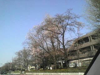 画像の説明 画像の説明