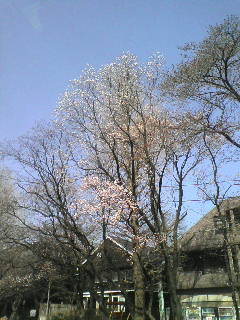 画像の説明 画像の説明