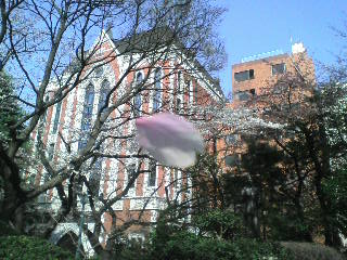 画像の説明 画像の説明