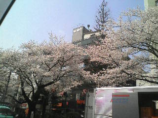 画像の説明 画像の説明