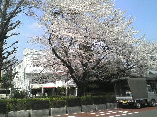 画像の説明 画像の説明