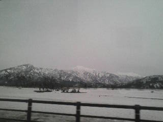 画像の説明 画像の説明