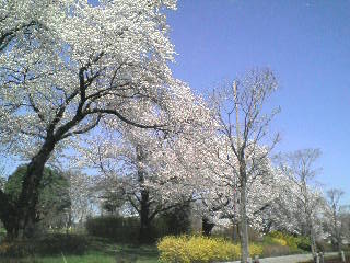 画像の説明 画像の説明