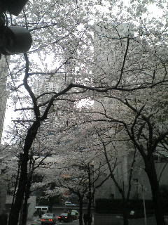 画像の説明 画像の説明