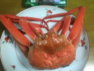 画像の説明 画像の説明