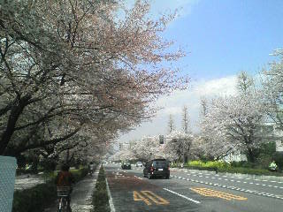 画像の説明 画像の説明