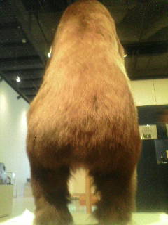 画像の説明 画像の説明